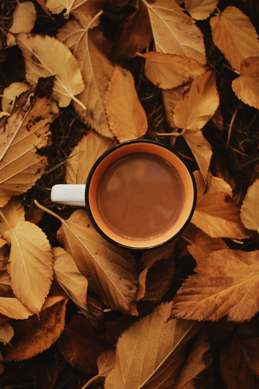 What Is Instant Coffee?