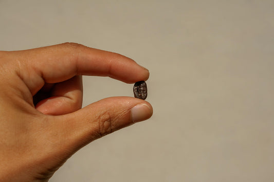 Person holding coffee bean